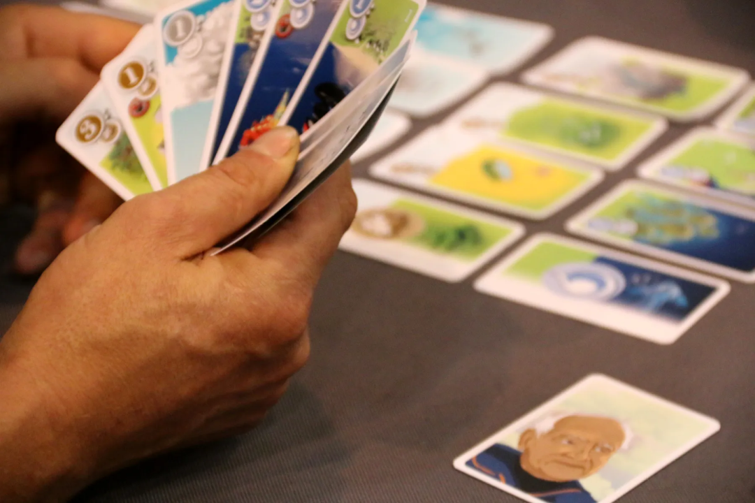 玩家手持带有不同生态图标与数值的手牌特写