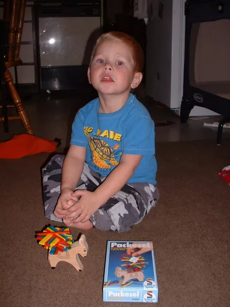 玩家在驴背狭小空间上交错堆叠木棍